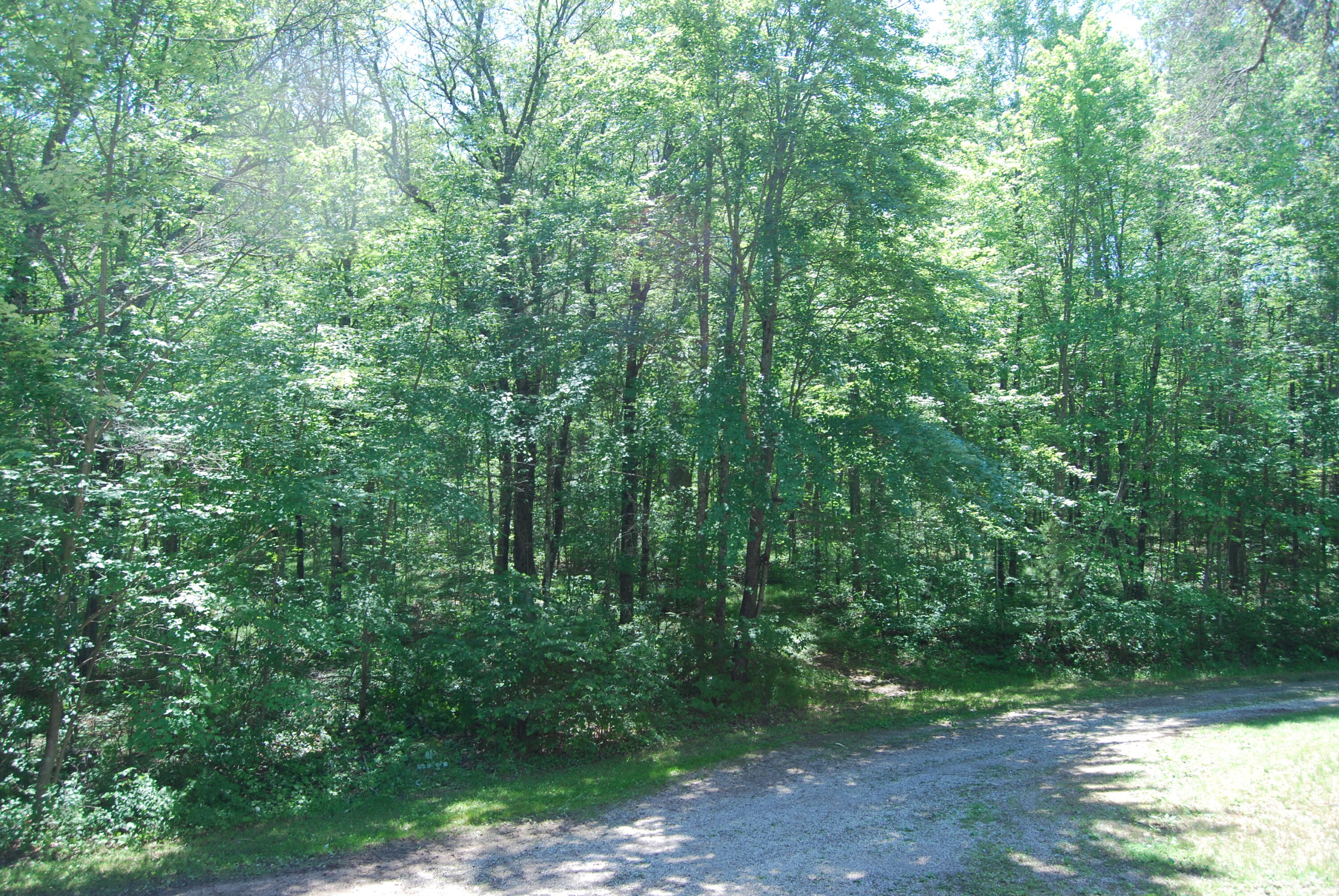 N11490 Nelson Road Athelstane, WI 54177 - Photo 33 of 39 Driveway area