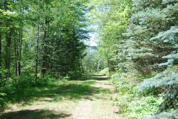 $225,000 | N11490 Nelson Road, Athelstane, WI 54177