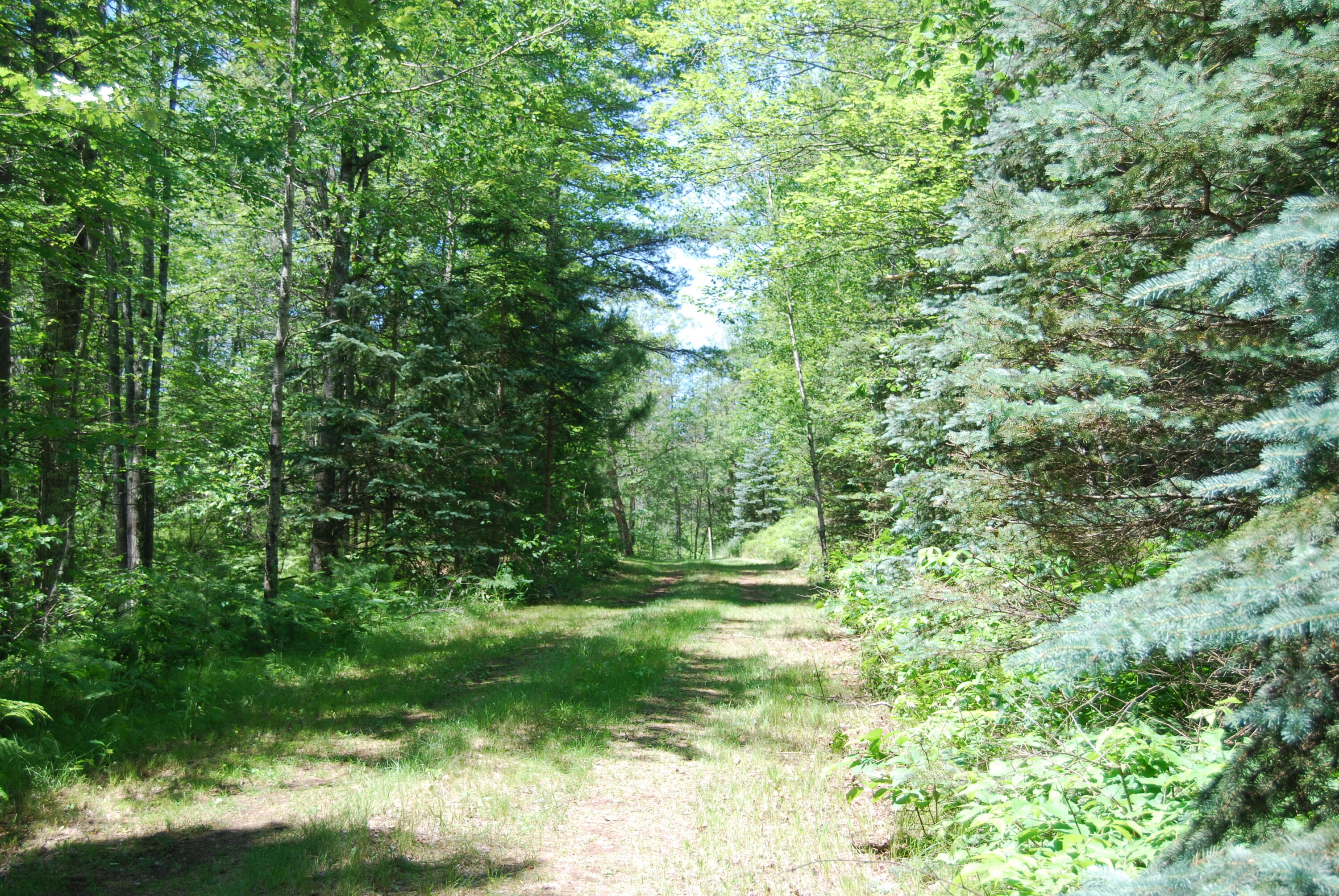 N11490 Nelson Road Athelstane, WI 54177 - Photo 39 of 39 Driveway enterance