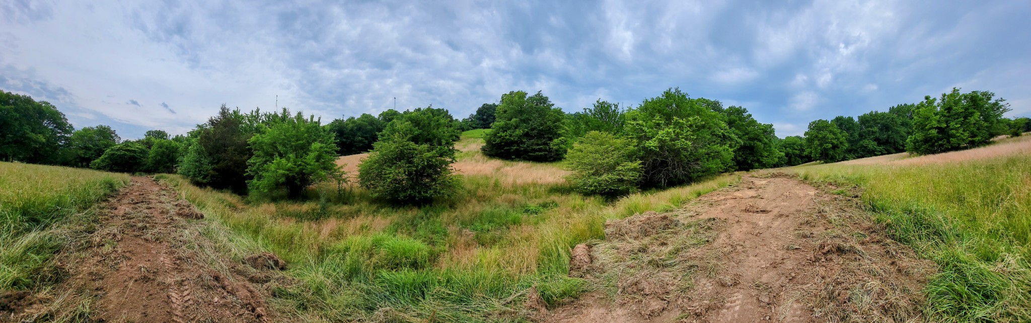 244 Access Road Pulaski, TN 38478 - Photo 26 of 34