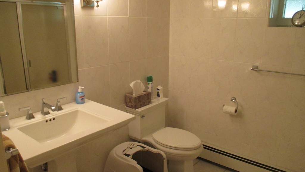 107 Robin Hill Road Chelmsford, MA 01824 - Photo 23 of 25 Gallery Image 23