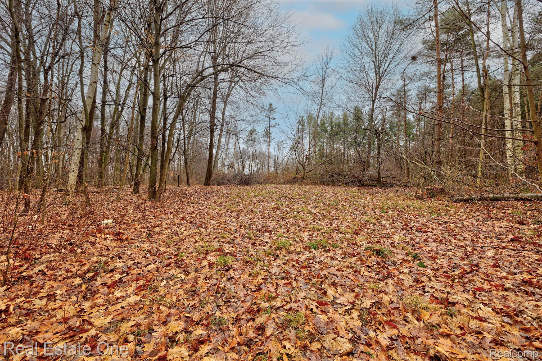 2175 Vernor Road Lapeer, MI 48446 - Photo 45 of 51 Gallery Image 45