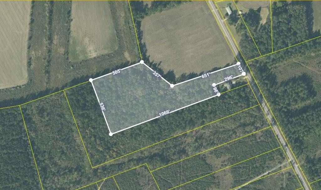 1807 Robert Rees Durant Road Alcolu, SC 29001 - Photo 1 of 13 Gallery Image 1