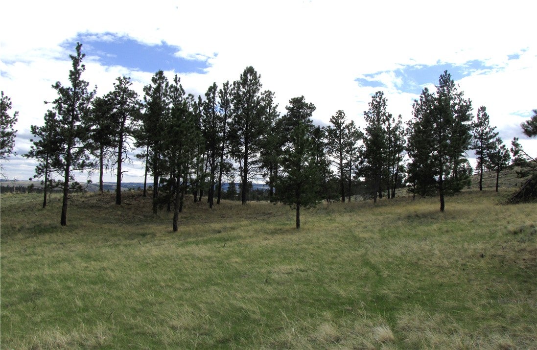 Nhn Nhn Wild Turkey Ridge Road Columbus, MT 59019 - Photo 33 of 47 Gallery Image 33