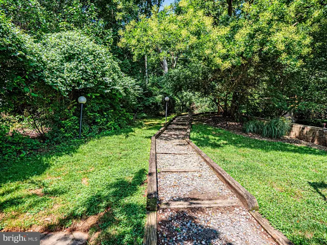 a view of a lush green forest