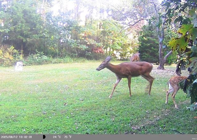 $520,900 | 8134 Rockport Road, Bloomington, IN 47403