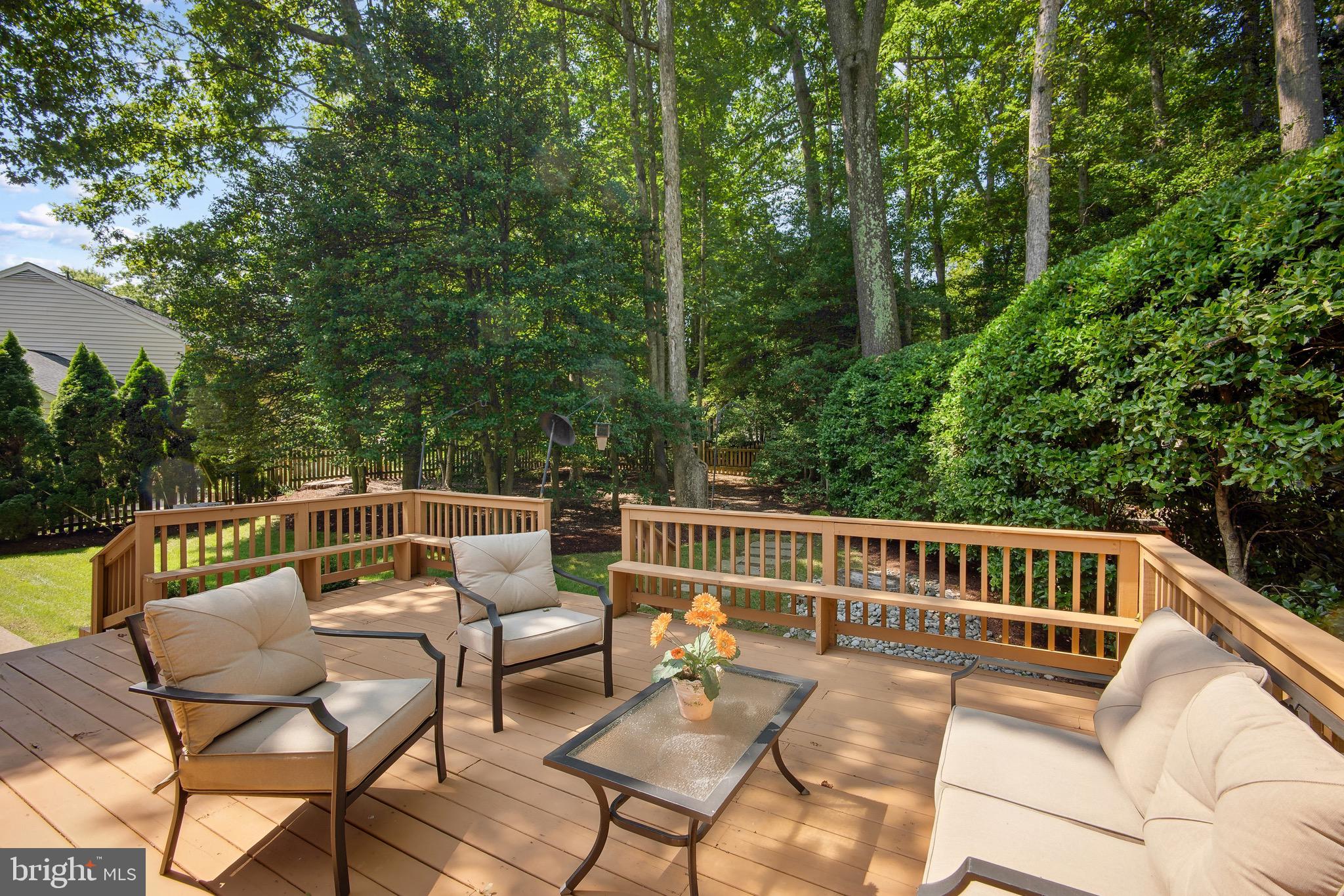 Back yard oasis