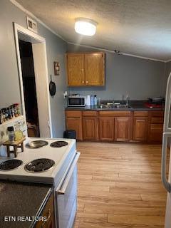 337 Lower Jackson Road Oliver Springs, TN 37840 - Photo 3 of 13 IMG_5253