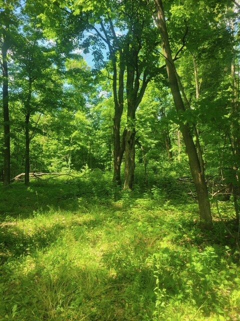 Tbd 230th Street Baldwin, WI 54002 - Photo 23 of 53