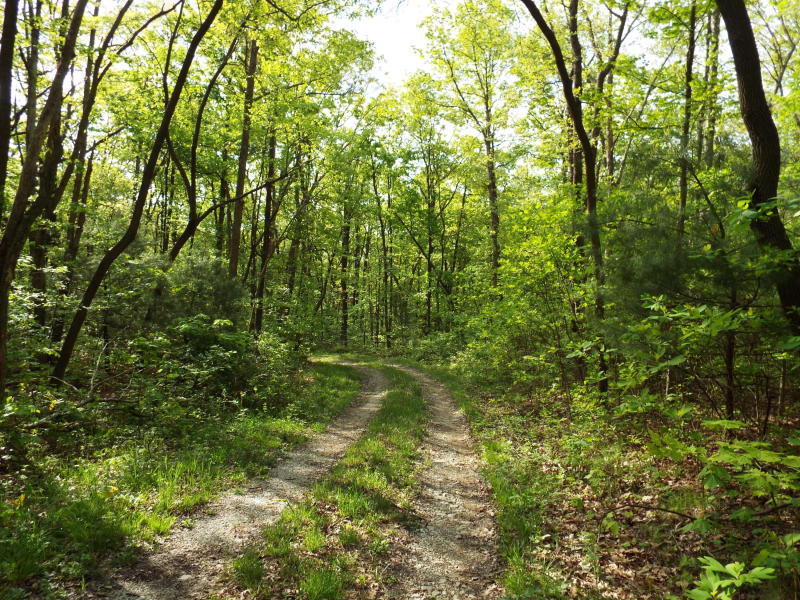 Catoosa Ridge Road Rockwood, TN 37854 - Photo 1 of 4 Catoosa 2