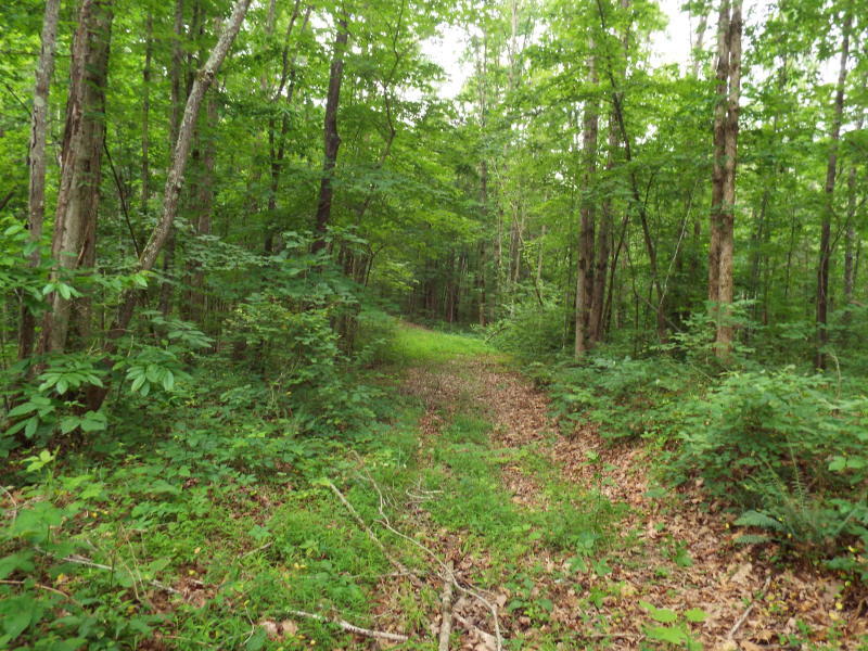 Catoosa Ridge Road Rockwood, TN 37854 - Photo 3 of 4 Catoosa 4