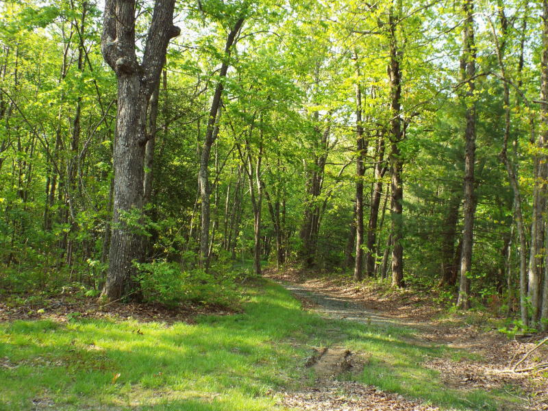 Catoosa Ridge Road Rockwood, TN 37854 - Photo 4 of 4 Catoosa