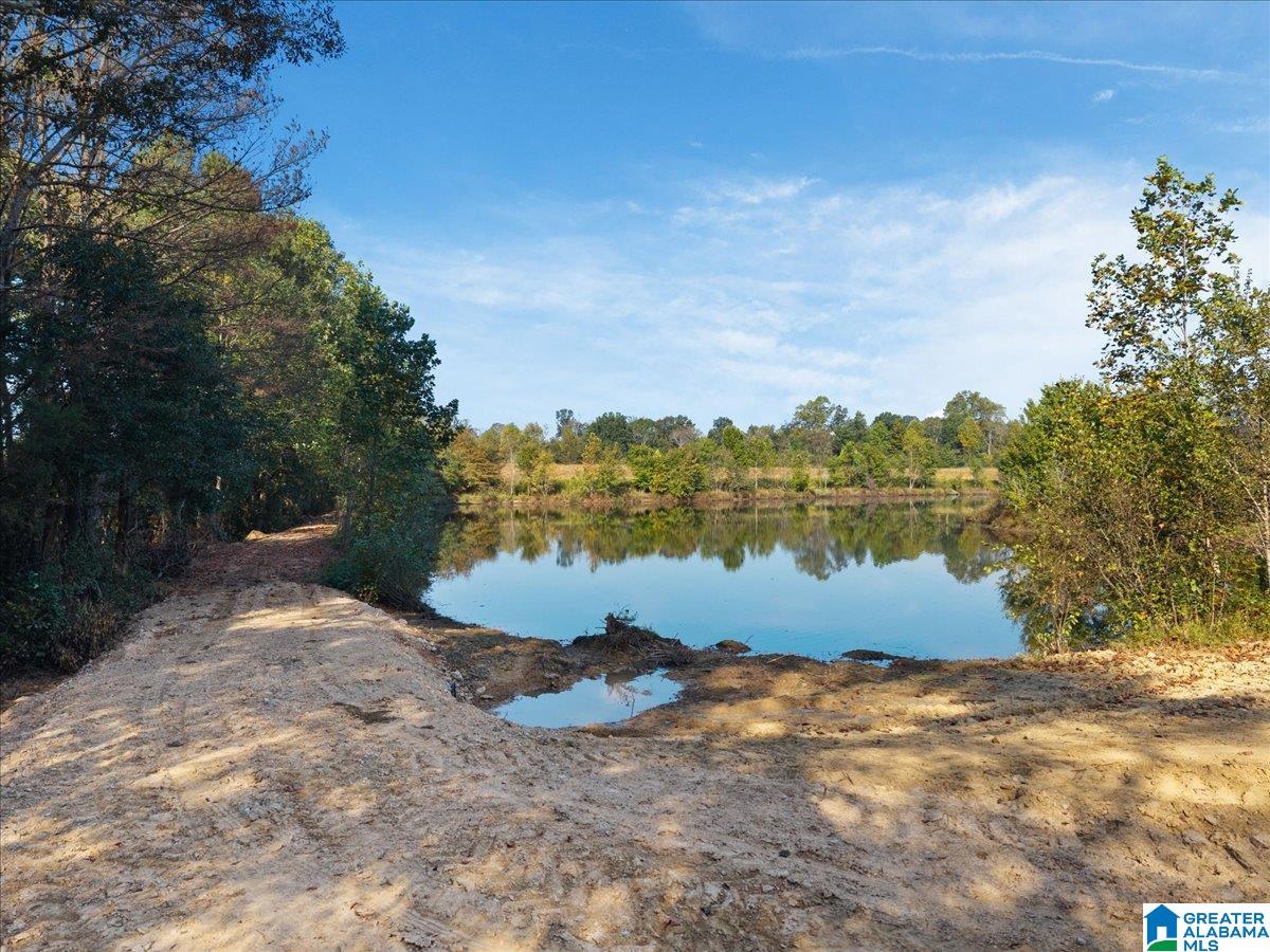21 County Road, Unit 2 00 Horton, AL 35980 - Photo 8 of 17