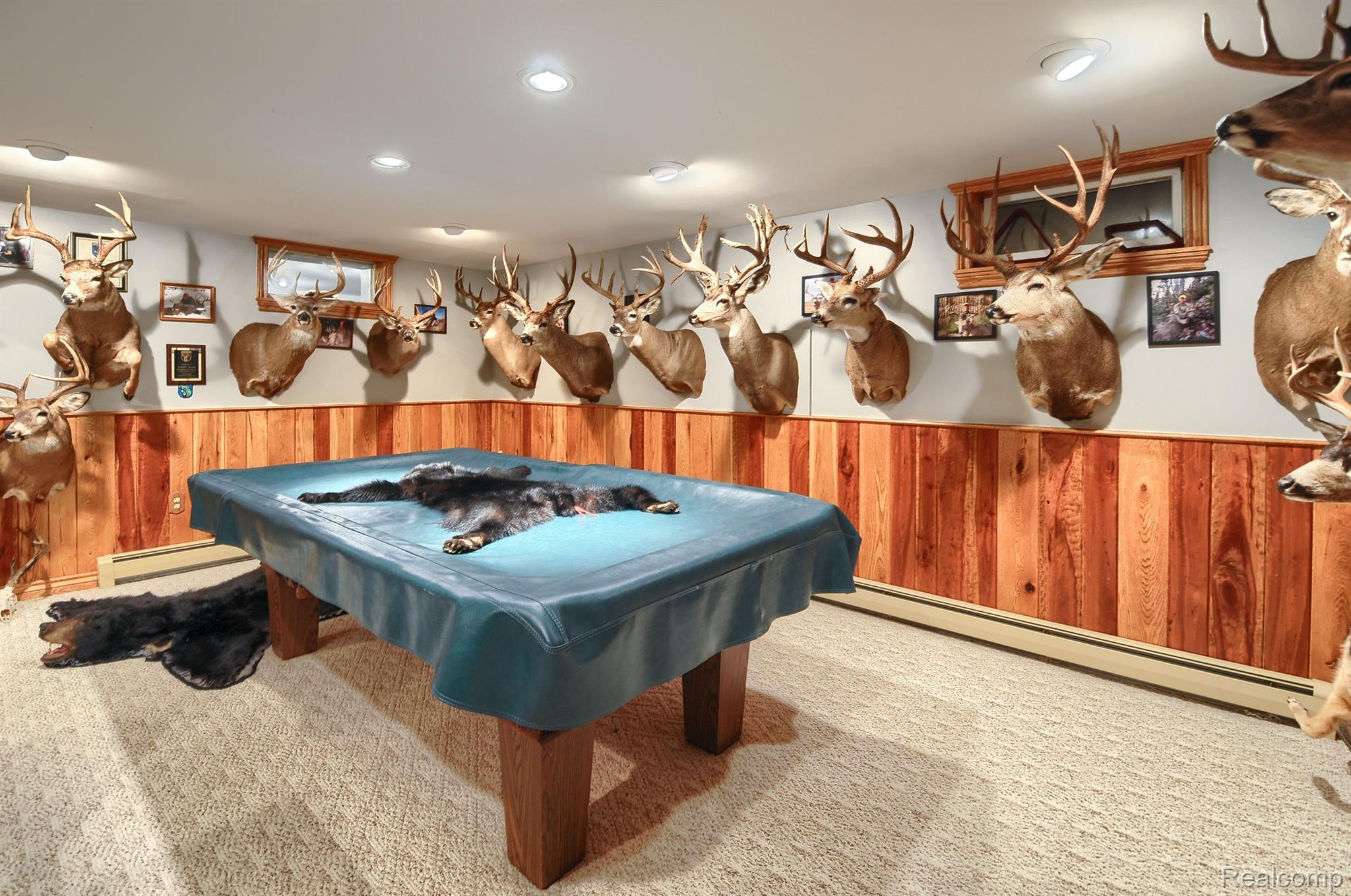 3180 Hodges Road Dryden, MI 48428 - Photo 51 of 87 Gallery Image 51