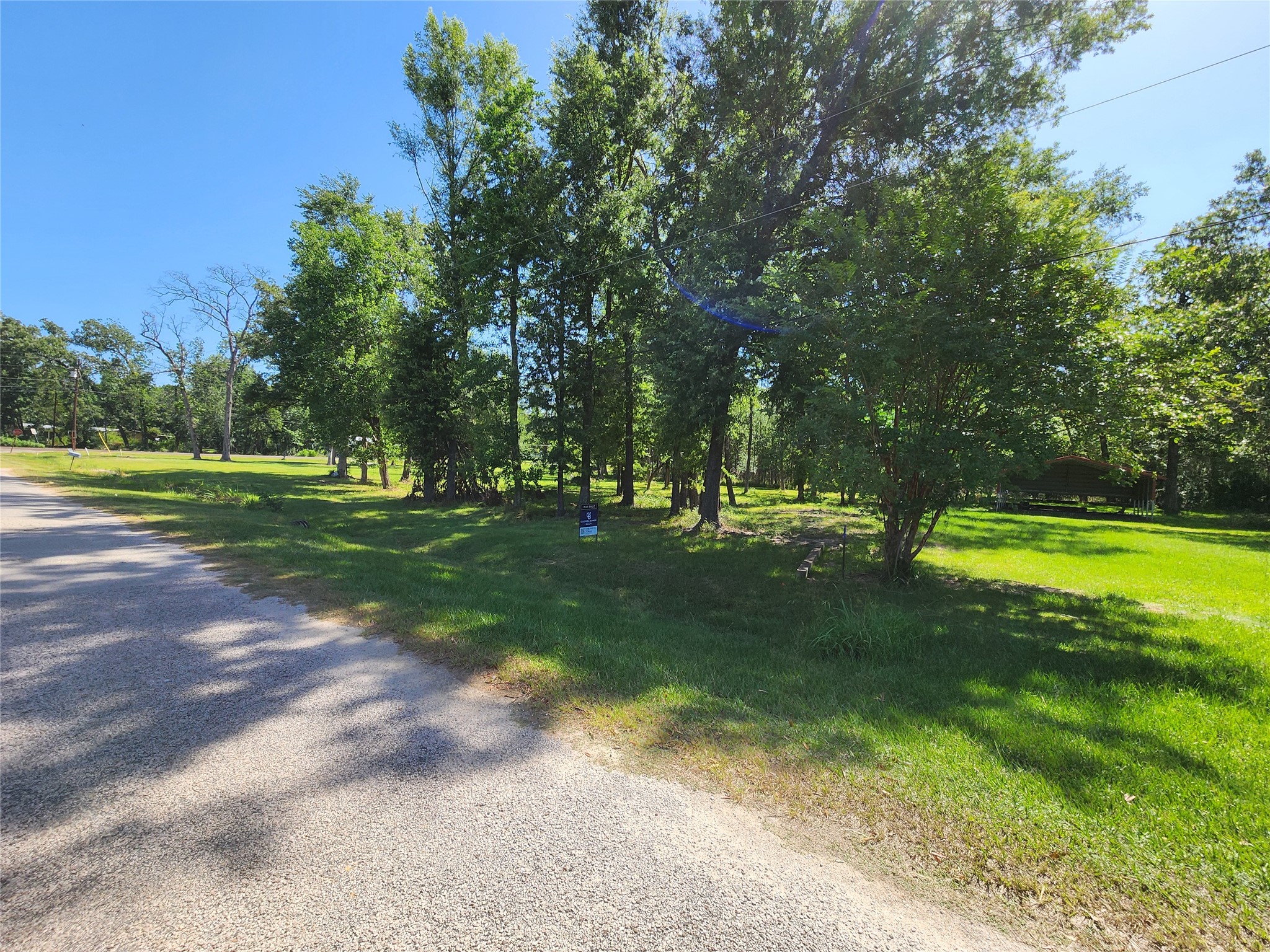 0 Armadillo Rd. Drive Trinity, TX 75862 - Photo 8 of 21