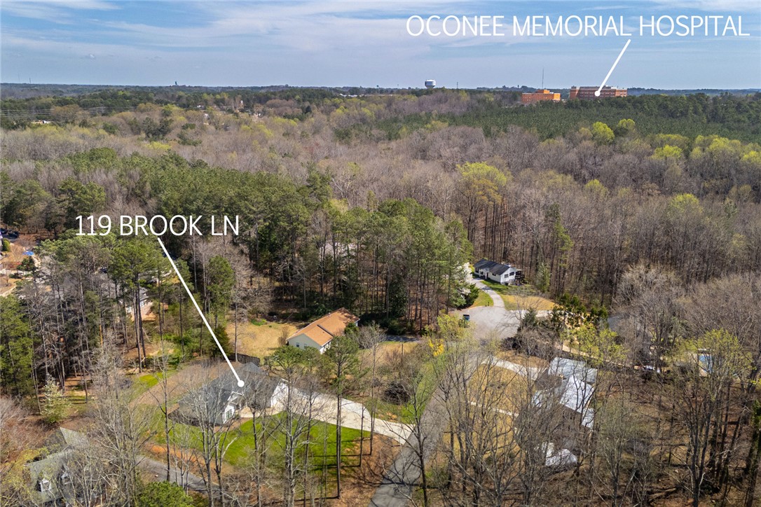 119 Brook Lane Seneca, SC 29672 - Photo 38 of 43 This elevated view captures the extensive grounds and surrounding natural landscape.