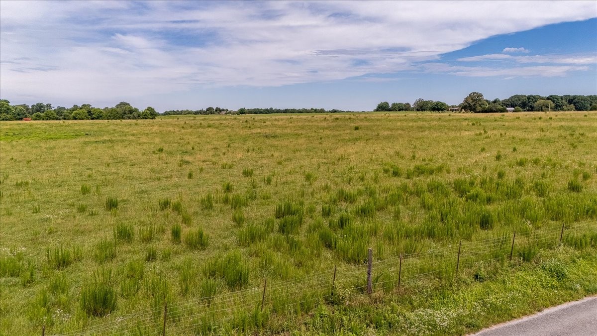 0 Marks Road Leoma, TN 38468 - Photo 4 of 25