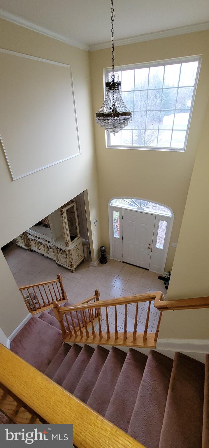 427 Colts Run Road Williamstown, NJ 08094 - Photo 27 of 29 Gallery Image 27