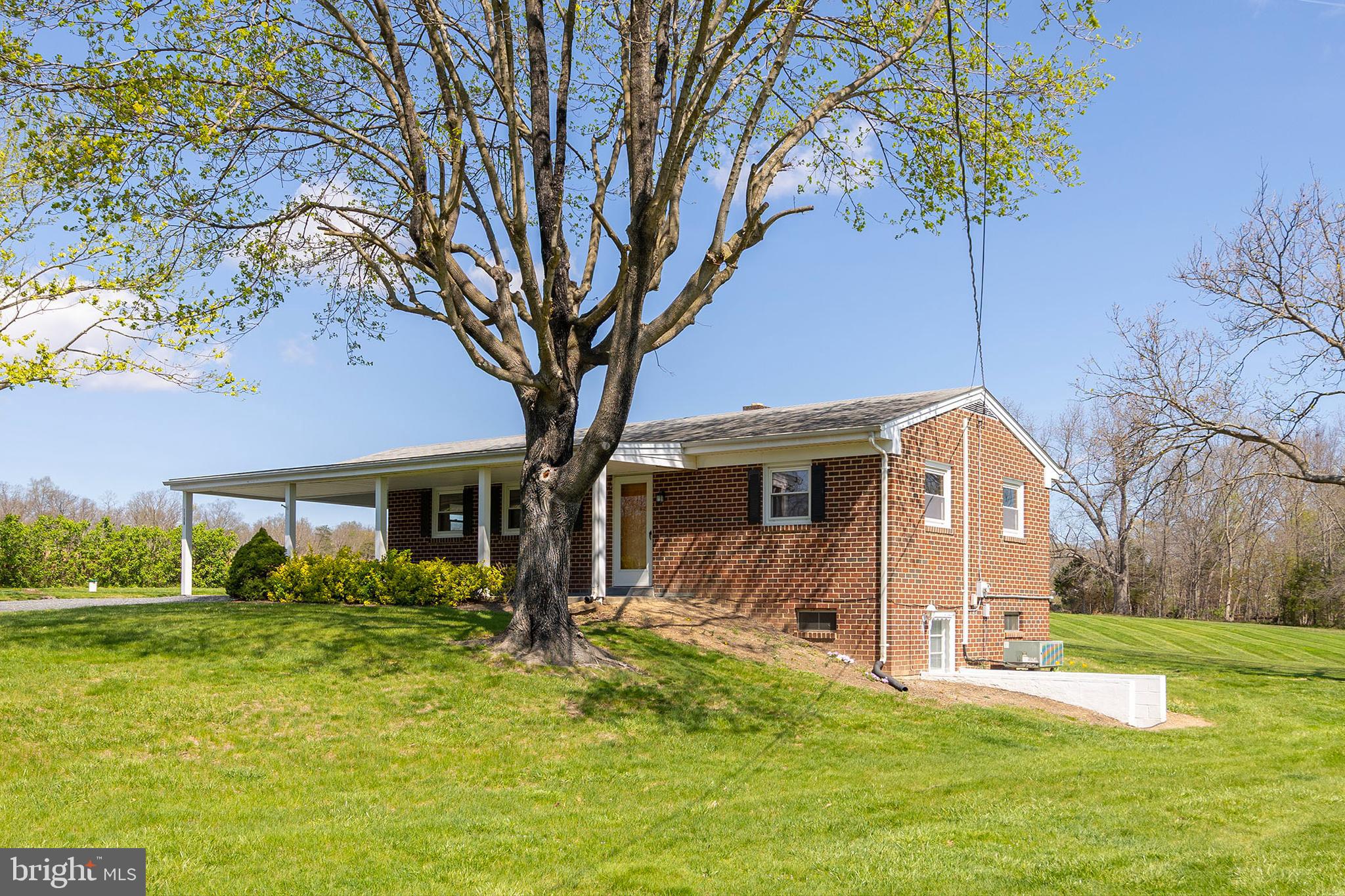 1156 Salem Church Road Stephens City, VA 22655 - Photo 2 of 37 a front view of house with yard and trees