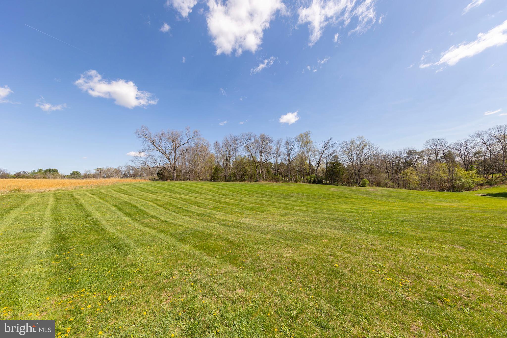 1156 Salem Church Road Stephens City, VA 22655 - Photo 34 of 37 a view of an ocean and a yard