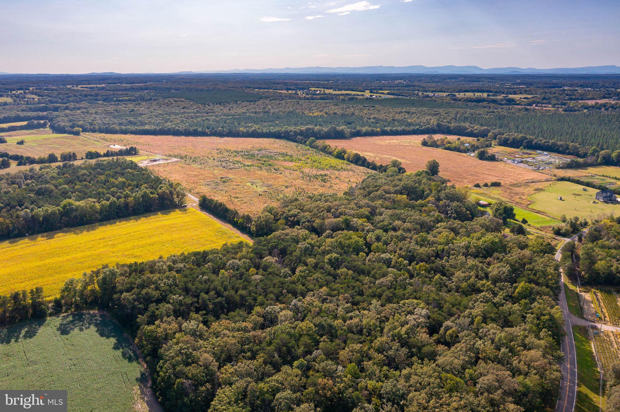 0 Bristersburg Road Catlett, VA 20119 - Photo 1 of 1 Gallery Image 1