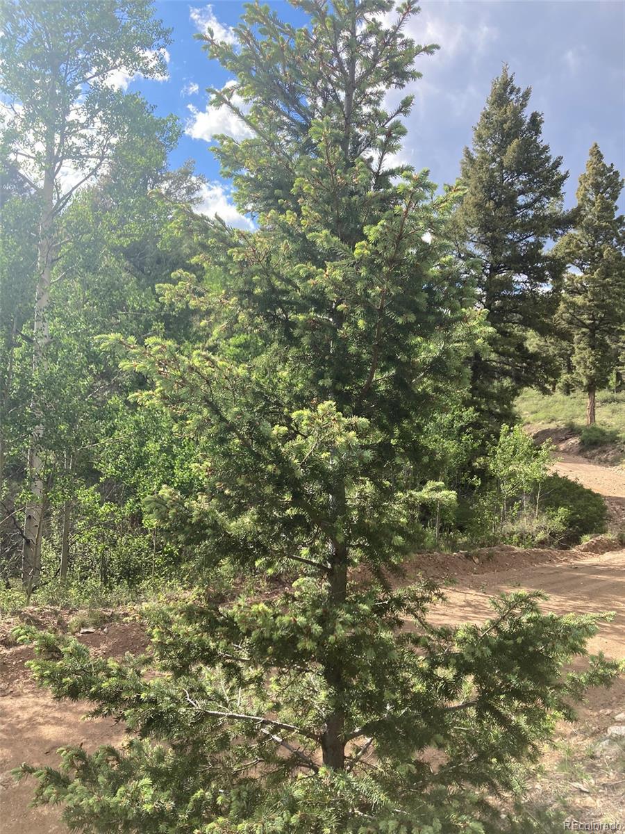 Lot 6461 Jacquez Road San Luis, CO 81152 - Photo 14 of 22