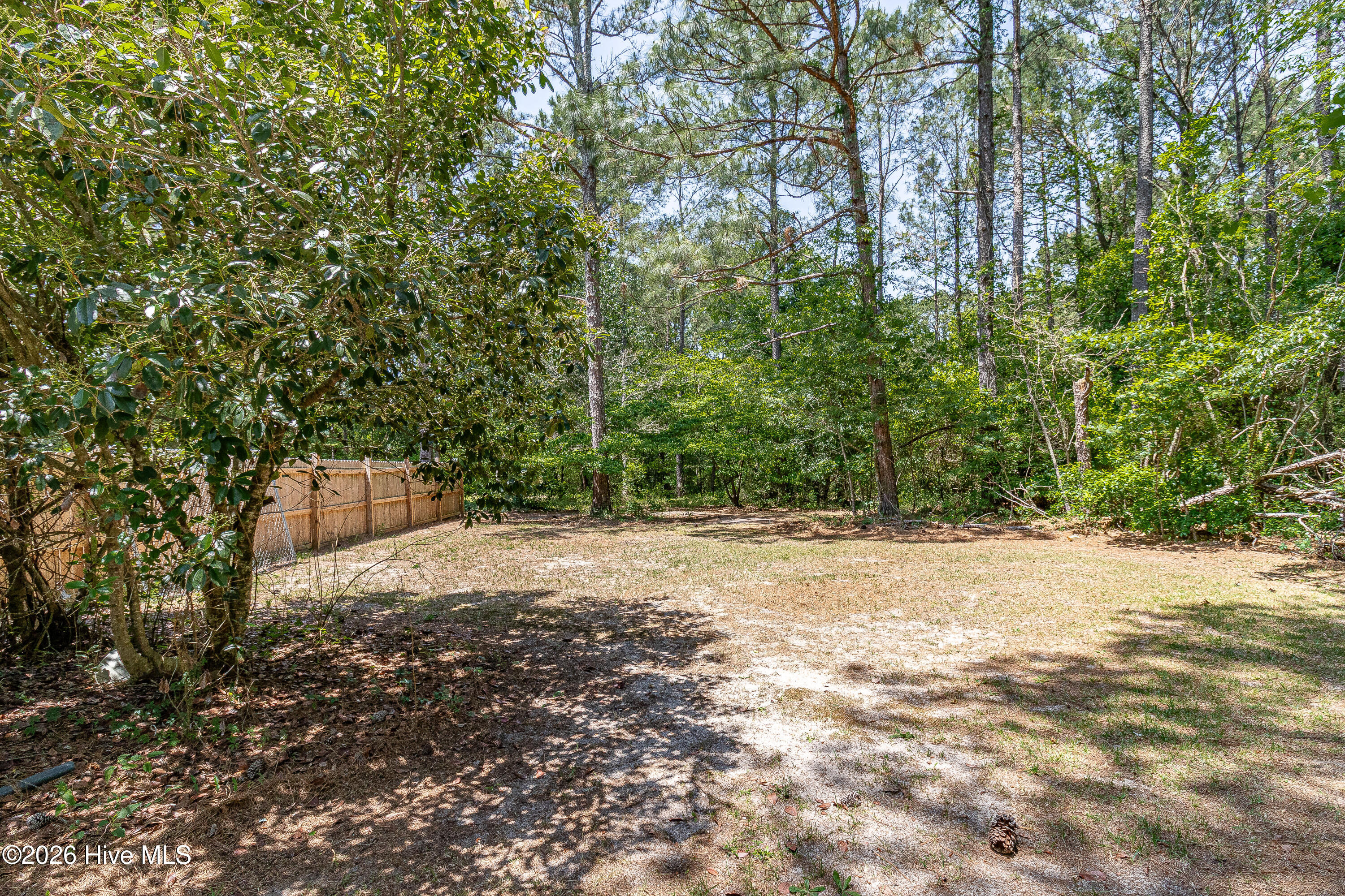 989 Garner Chapel Road Mount Olive, NC 28365 - Photo 24 of 25 side yard