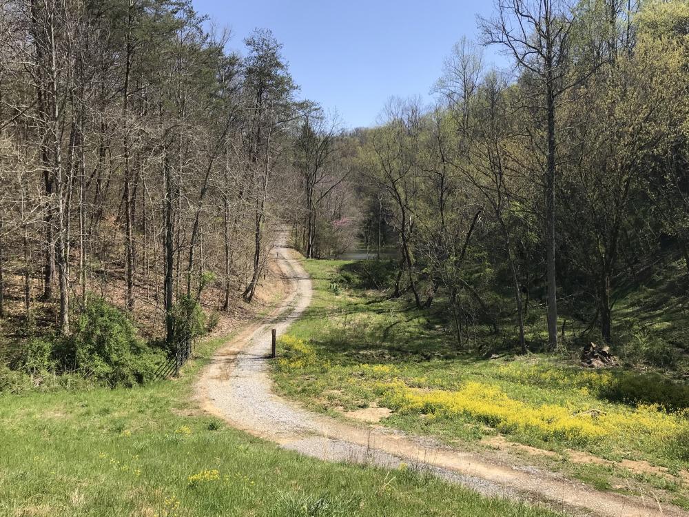 0 Stanton Road Seymour, TN 37865 - Photo 2 of 20 listing1060702photo205639