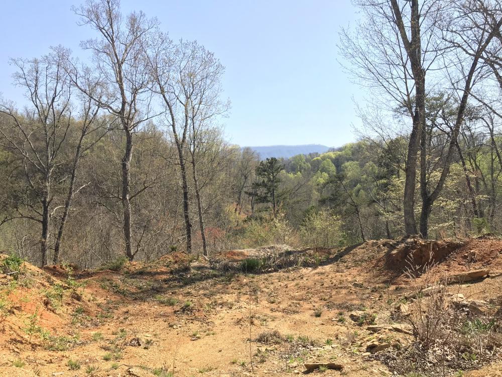 0 Stanton Road Seymour, TN 37865 - Photo 13 of 20 listing1060702photo571058