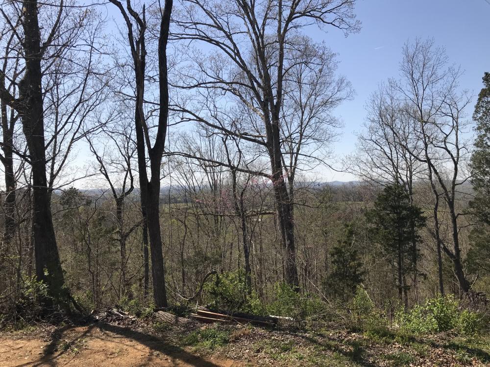 0 Stanton Road Seymour, TN 37865 - Photo 16 of 20 listing1060702photo352029