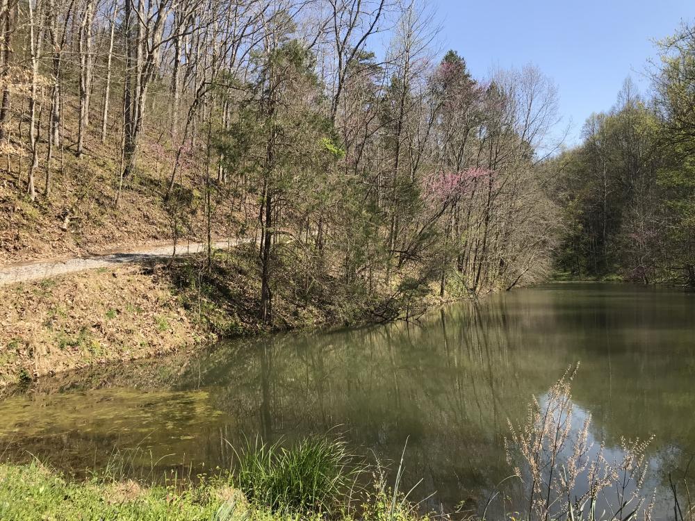 0 Stanton Road Seymour, TN 37865 - Photo 19 of 20 listing1060702photo162828