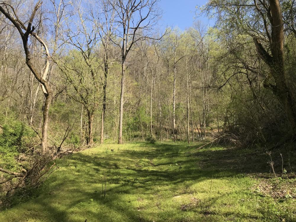 0 Stanton Road Seymour, TN 37865 - Photo 20 of 20 listing1060702photo154615