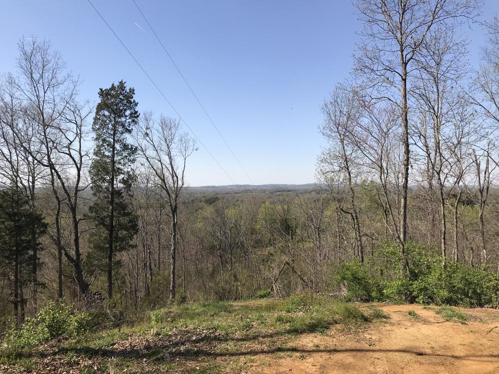 0 Stanton Road Seymour, TN 37865 - Photo 3 of 20 listing1060702photo159956