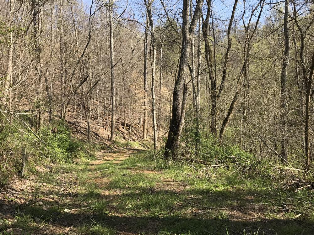 0 Stanton Road Seymour, TN 37865 - Photo 6 of 20 listing1060702photo6321926