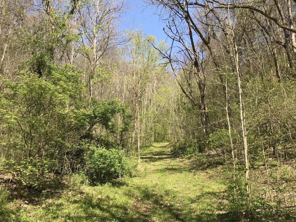 0 Stanton Road Seymour, TN 37865 - Photo 9 of 20 listing1060702photo4467989