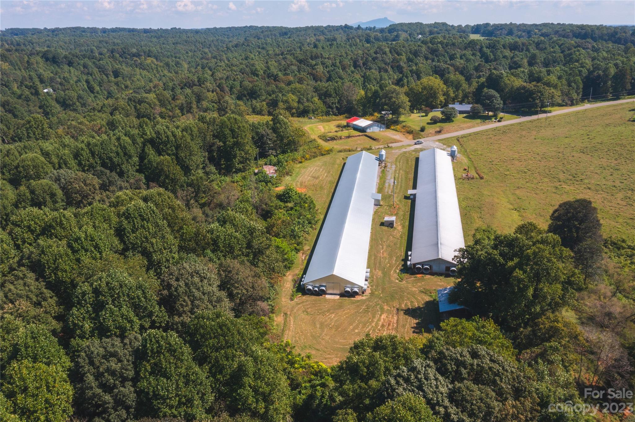 940 Buck Fork Road Dobson, NC 27017 - Photo 11 of 14 Gallery Image 11