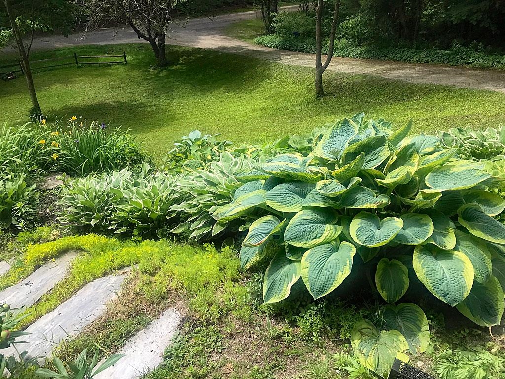 60 Irish Lane Wallingford, VT 05773 - Photo 10 of 43