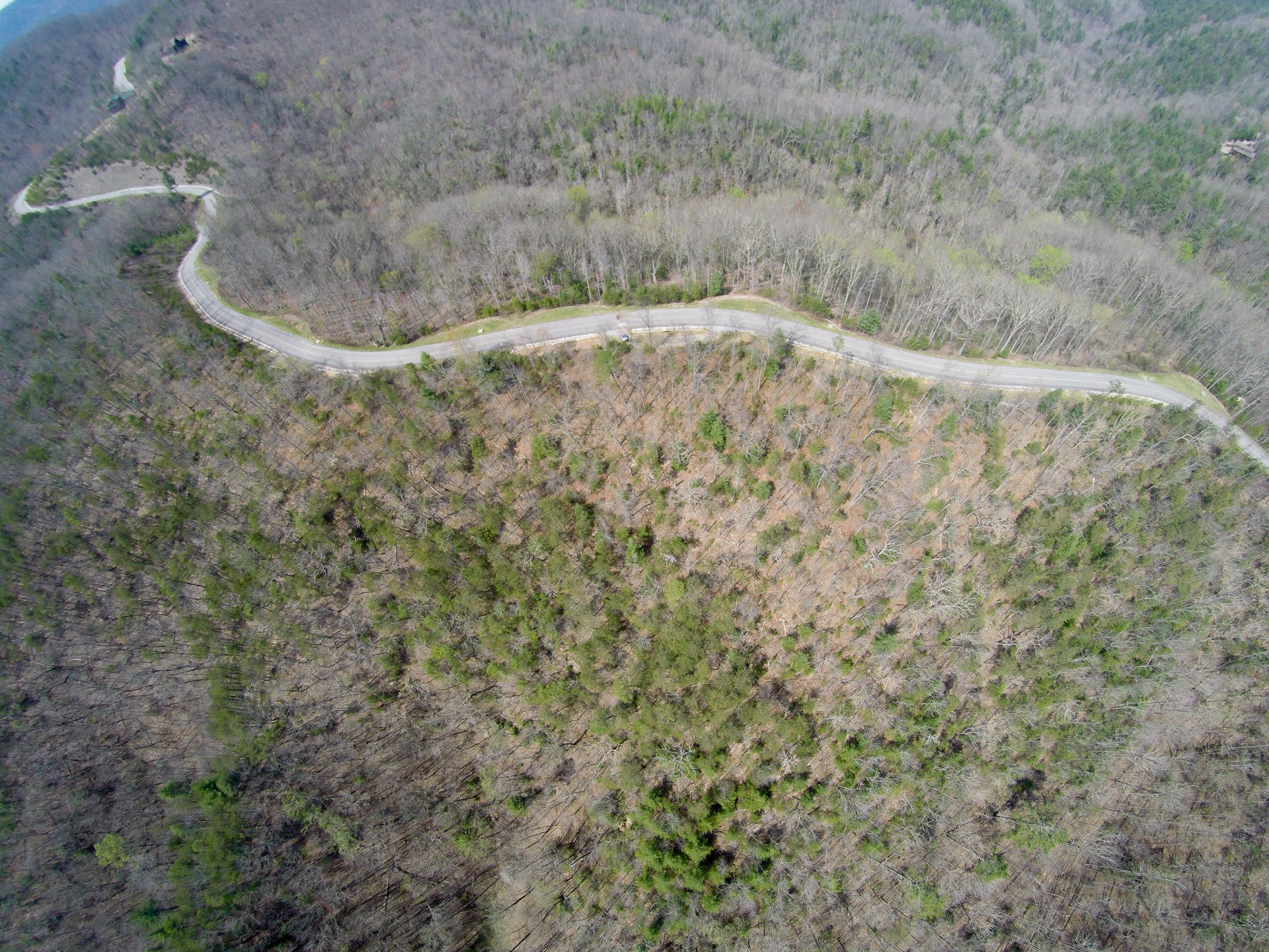 3 Long Rifle Road Walland, TN 37886 - Photo 17 of 19 Gallery Image 17