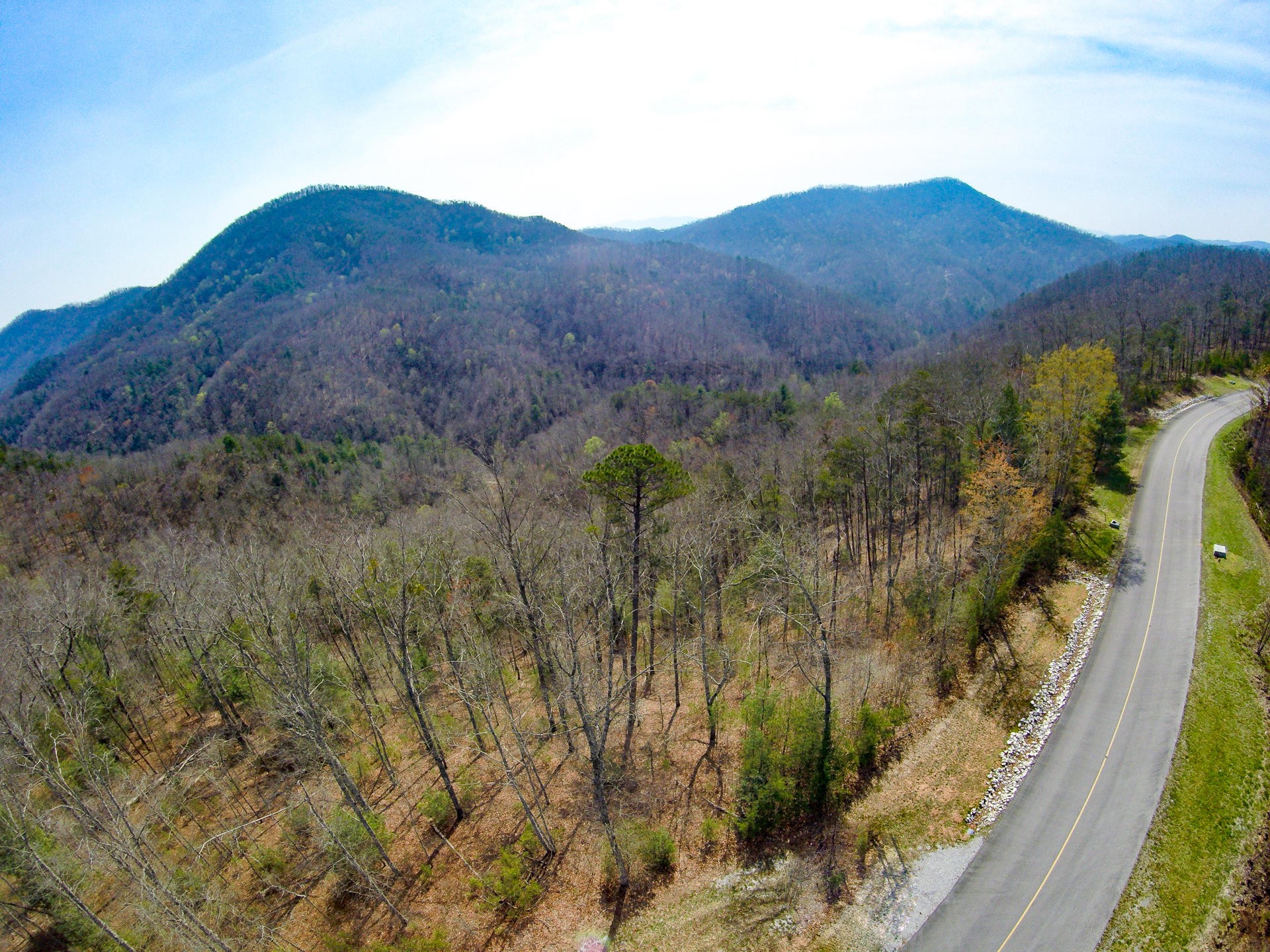3 Long Rifle Road Walland, TN 37886 - Photo 18 of 19 Gallery Image 18