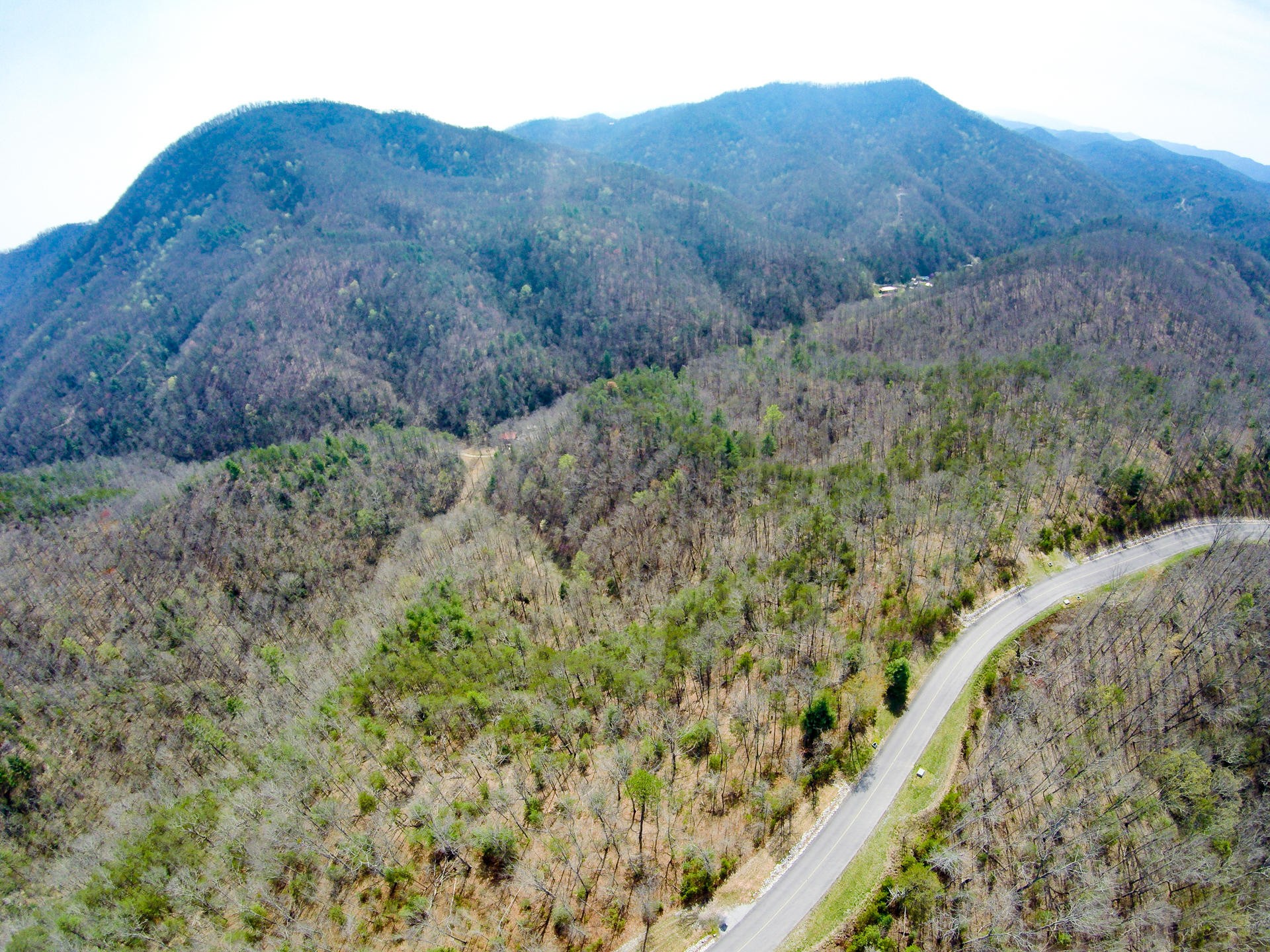 3 Long Rifle Road Walland, TN 37886 - Photo 19 of 19 Gallery Image 19