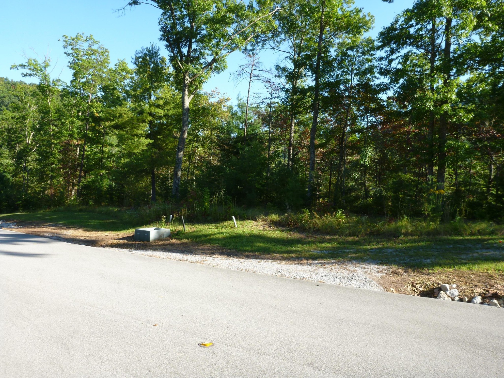 3 Long Rifle Road Walland, TN 37886 - Photo 4 of 19 Gallery Image 4