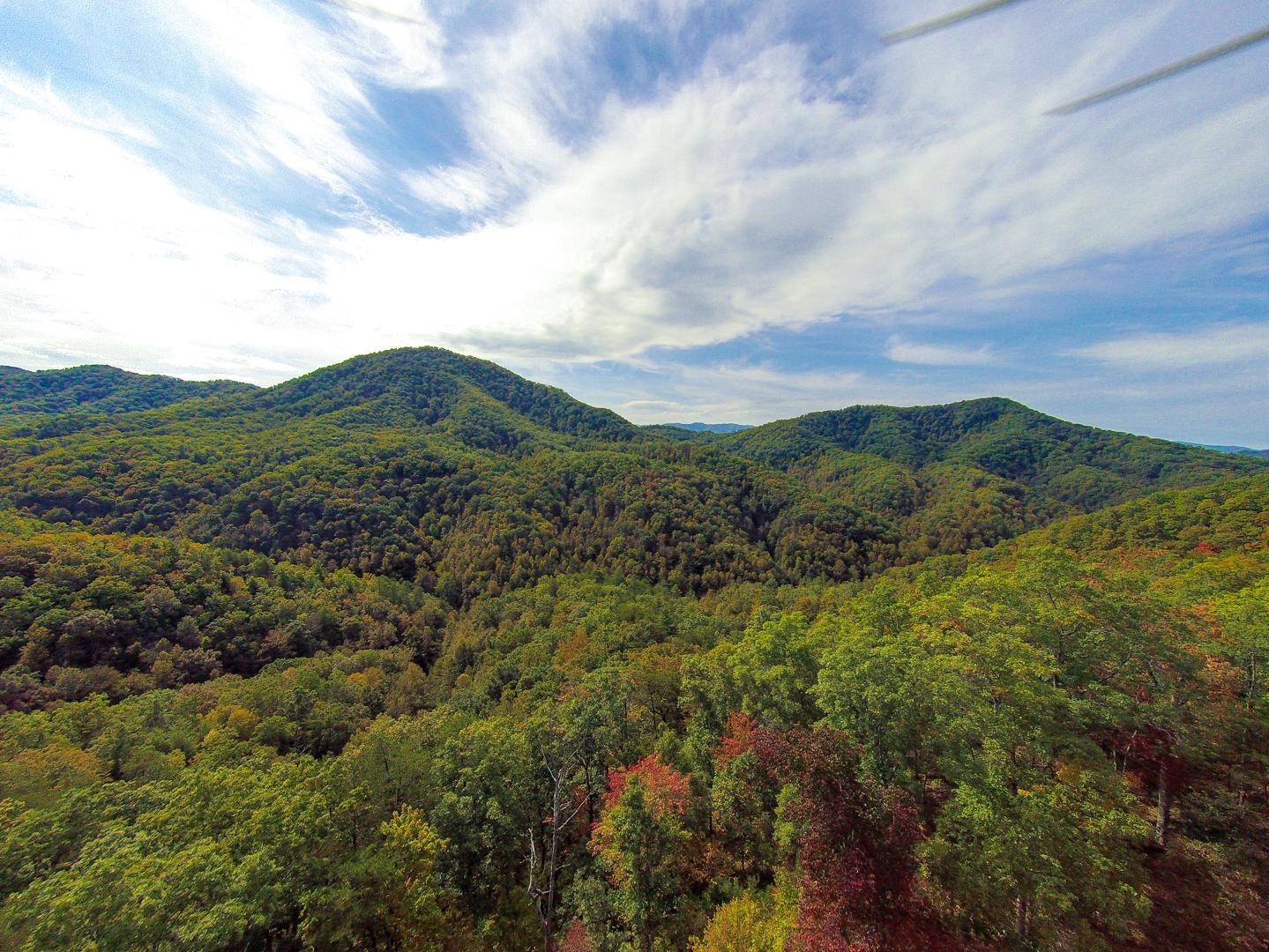 3 Long Rifle Road Walland, TN 37886 - Photo 10 of 19 Gallery Image 10