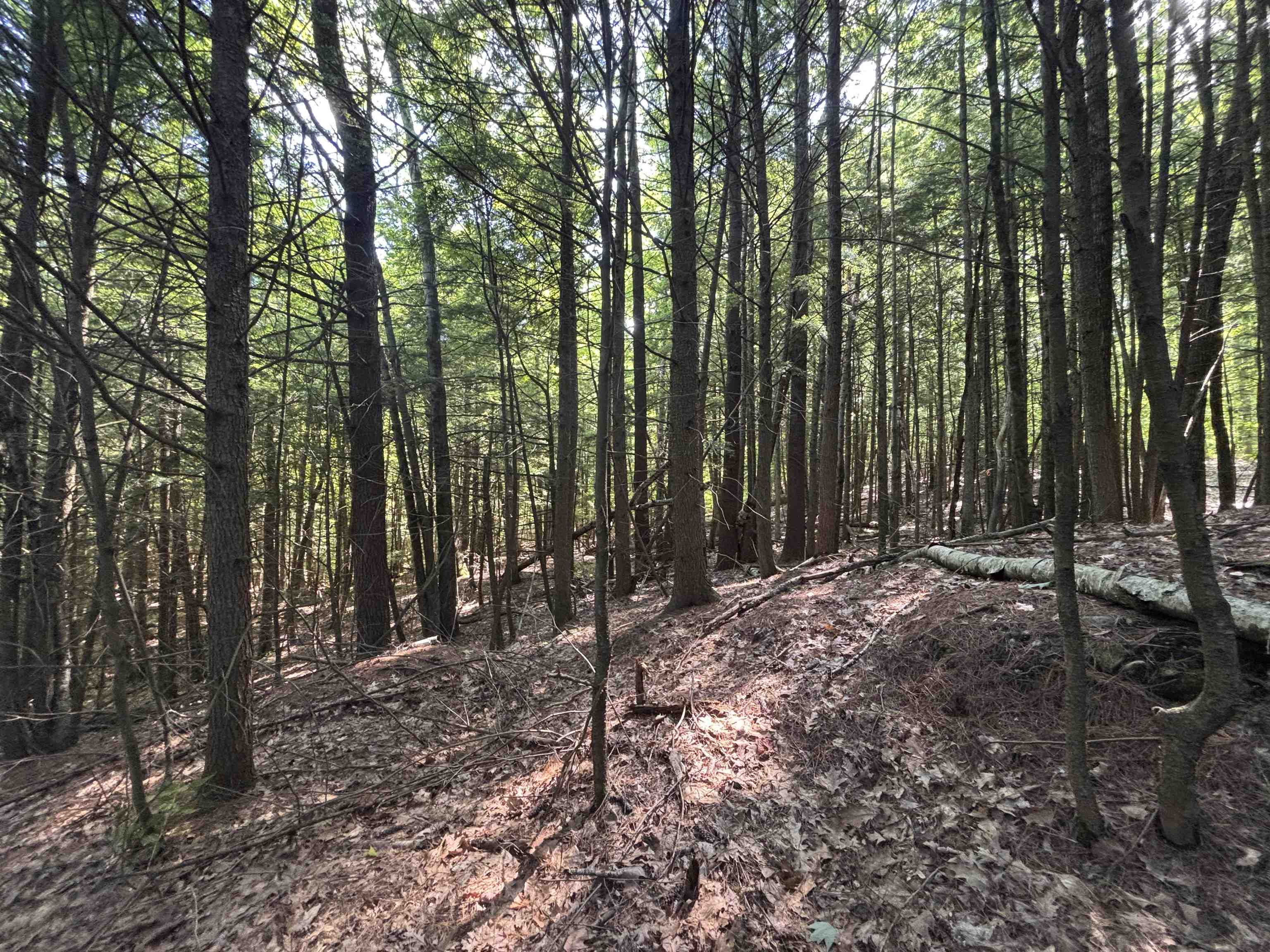 0 Windfall Road Northfield, NH 03276 - Photo 2 of 10