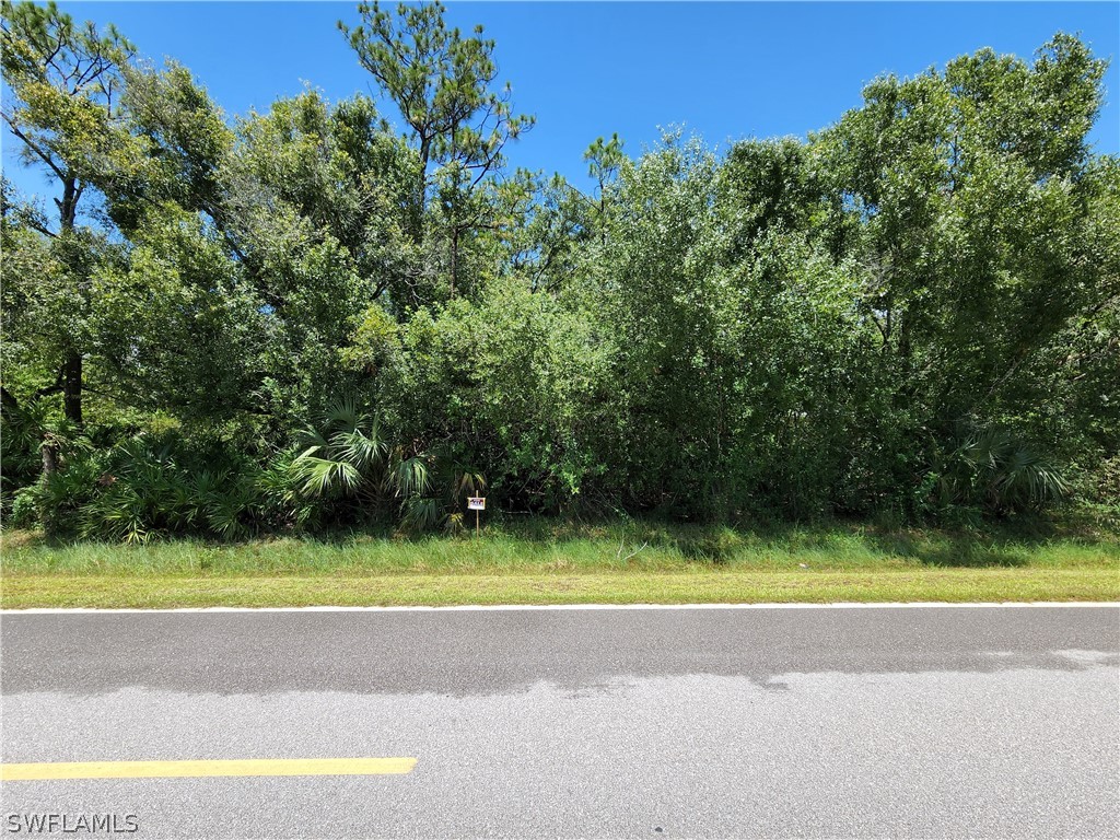 41640 Little Farm Road Punta Gorda, FL 33982 - Photo 6 of 9 Gallery Image 6