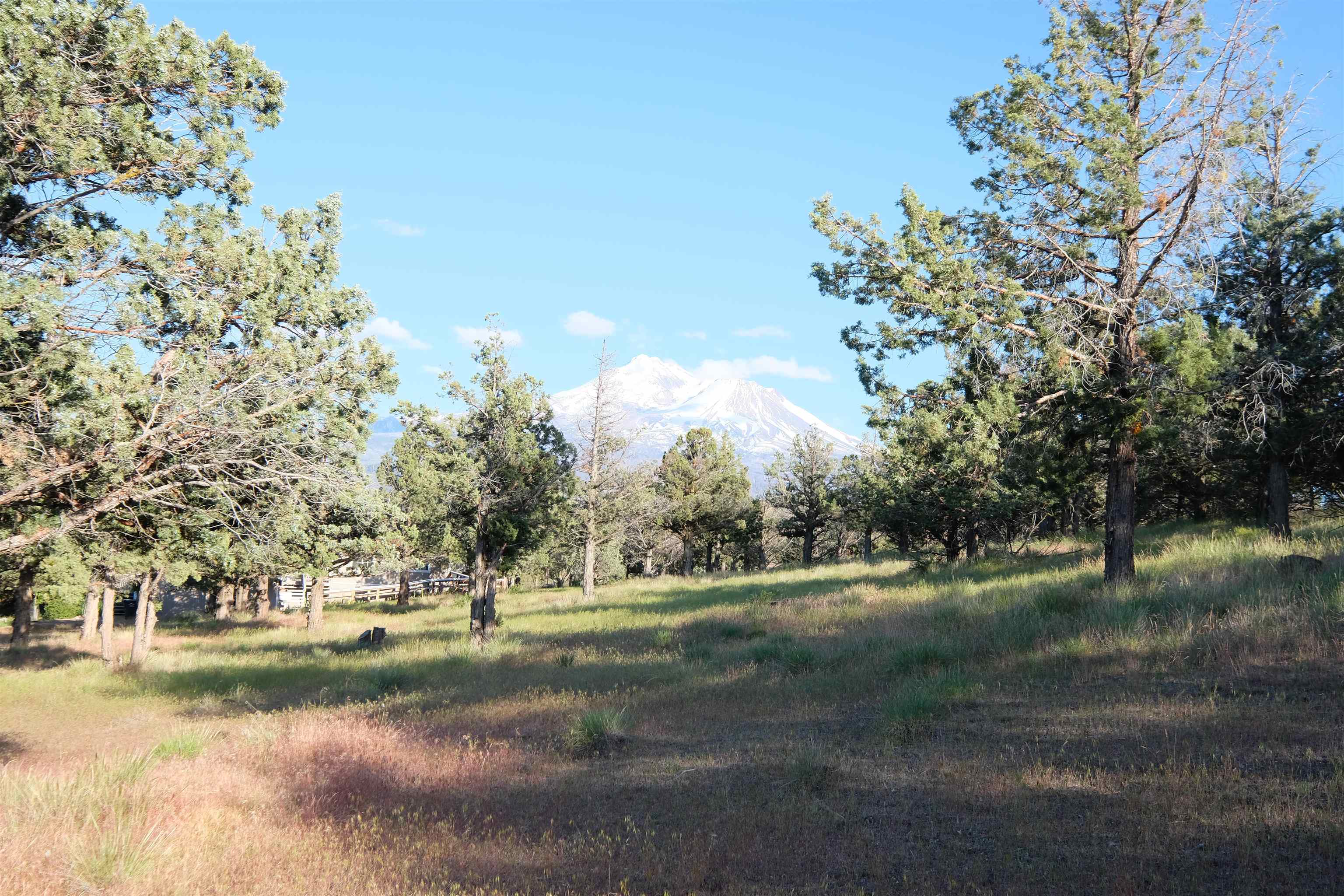 9-1 Unit Road Weed, CA 96094 - Photo 13 of 30 Gallery Image 13