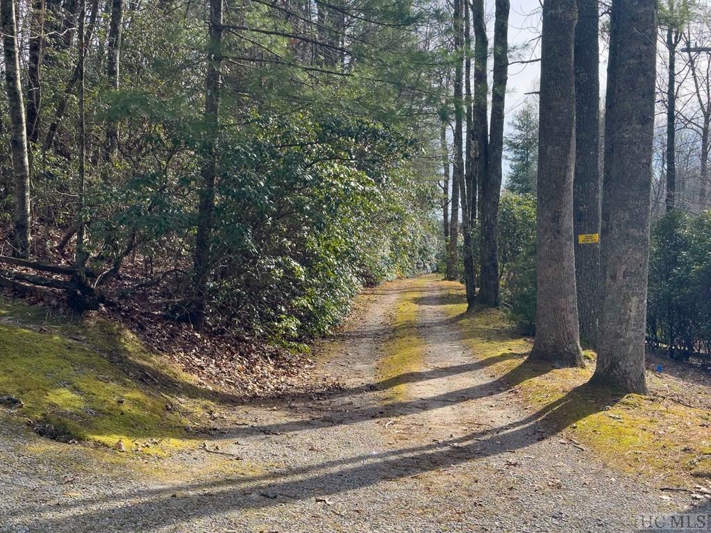 Tbd Russell Ridge Highlands, NC 28741 - Photo 2 of 8 Gallery Image 2