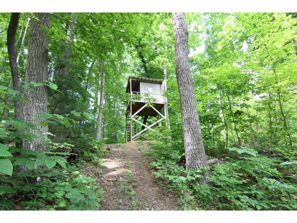 1080 Heaton Branch Road Butler, TN 37640 - Photo 28 of 35 Photo 29