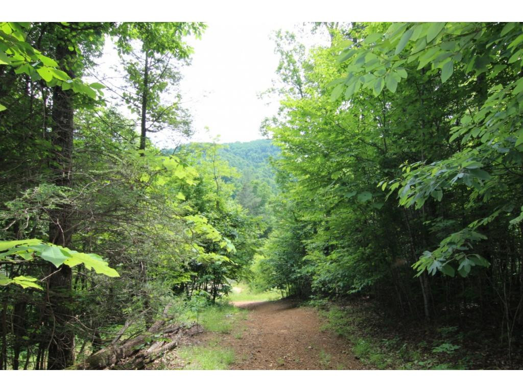 1080 Heaton Branch Road Butler, TN 37640 - Photo 29 of 35 Photo 30