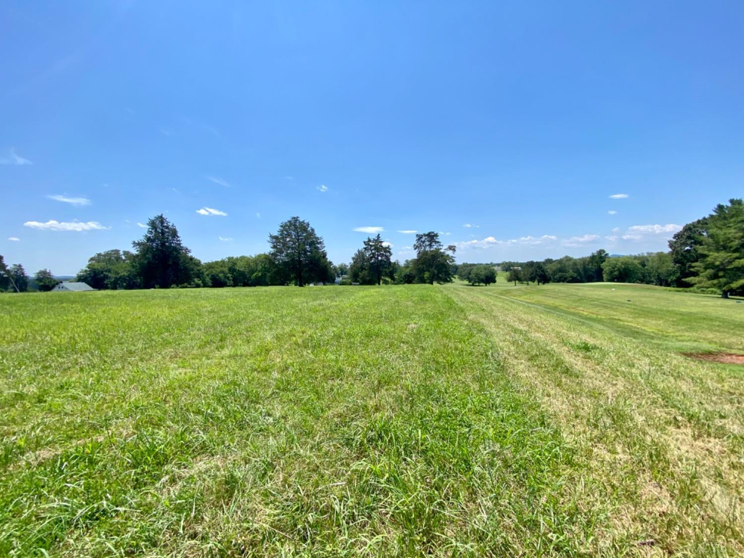 695 Patrick Henry Highway Amherst, VA 24521 - Photo 1 of 13 a view of a grassy field with trees in the background