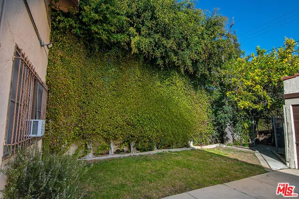 a view of a backyard with plants and large trees